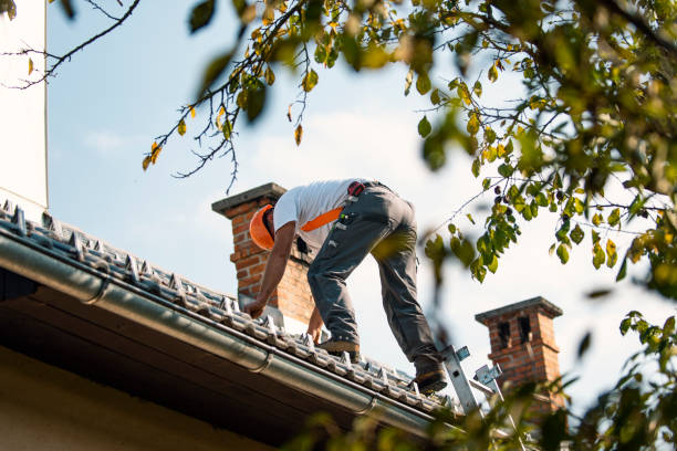 Best Emergency Roof Repair  in West Branch, MI