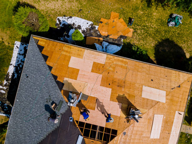 Best Metal Roofing Contractor  in West Branch, MI