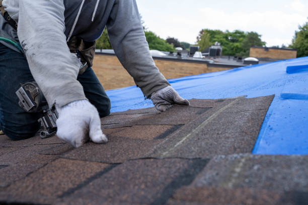 Best Residential Roofing Contractor  in West Branch, MI