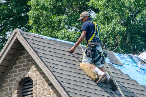 Quick and Trustworthy Emergency Roof Repair Services in West Branch, MI